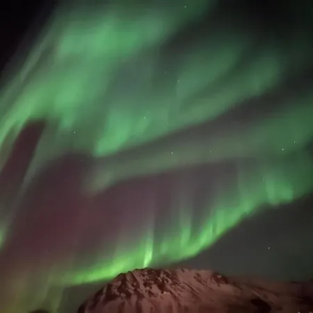 Sommerfjøs Ranchen Langenes (Nordland)