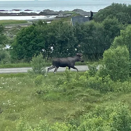 Vakantiehuis Sommerfjos Ranchen