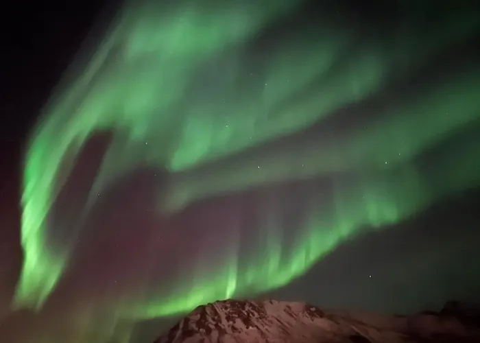 Sommerfjøs Ranchen Langenes (Nordland)