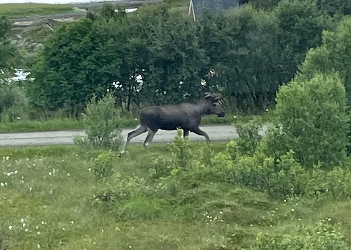 Feriehus Sommerfjøs Ranchen